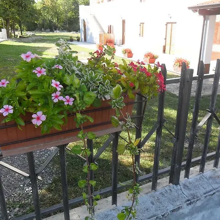 Bartulasi *